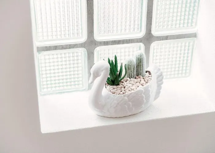 Casa Cigno By Quokka 360 - Relaxation And Sunshine Assured アパート